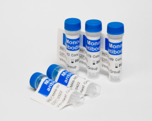 Tumor markers monoclonal antibodies HE221