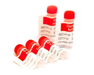 Recombinant antigens