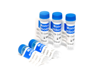 Monoclonal antibodies